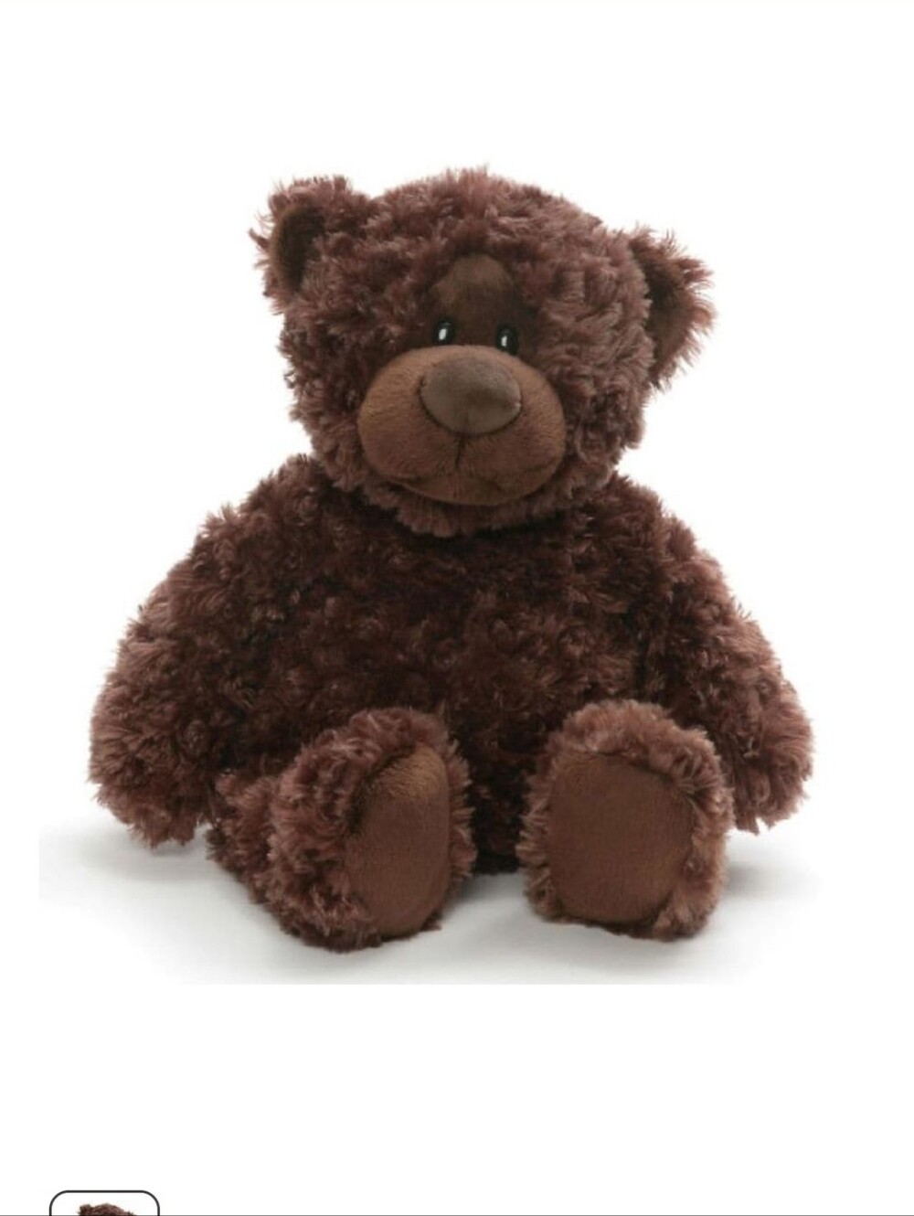 Gund Chocolate Brown Teddy Bear NWT